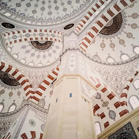 Gambori * Lisboa